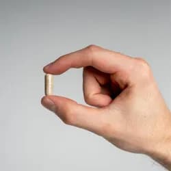 Náhled 2