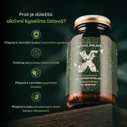 Náhled 2